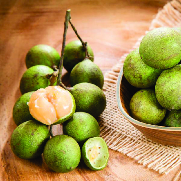 The Spanish lime (quenepe) Tree is a treat to the eyes as the vibrant, yellow fruit is filled with its juicy, sweet taste that bursts in the mouth loaded with flavor. People normally use its juice to make alcoholic beverages and other beverages as its tangy flavor fits ideal for a festive drink anytime around Christmas or a barbeque night during summer.