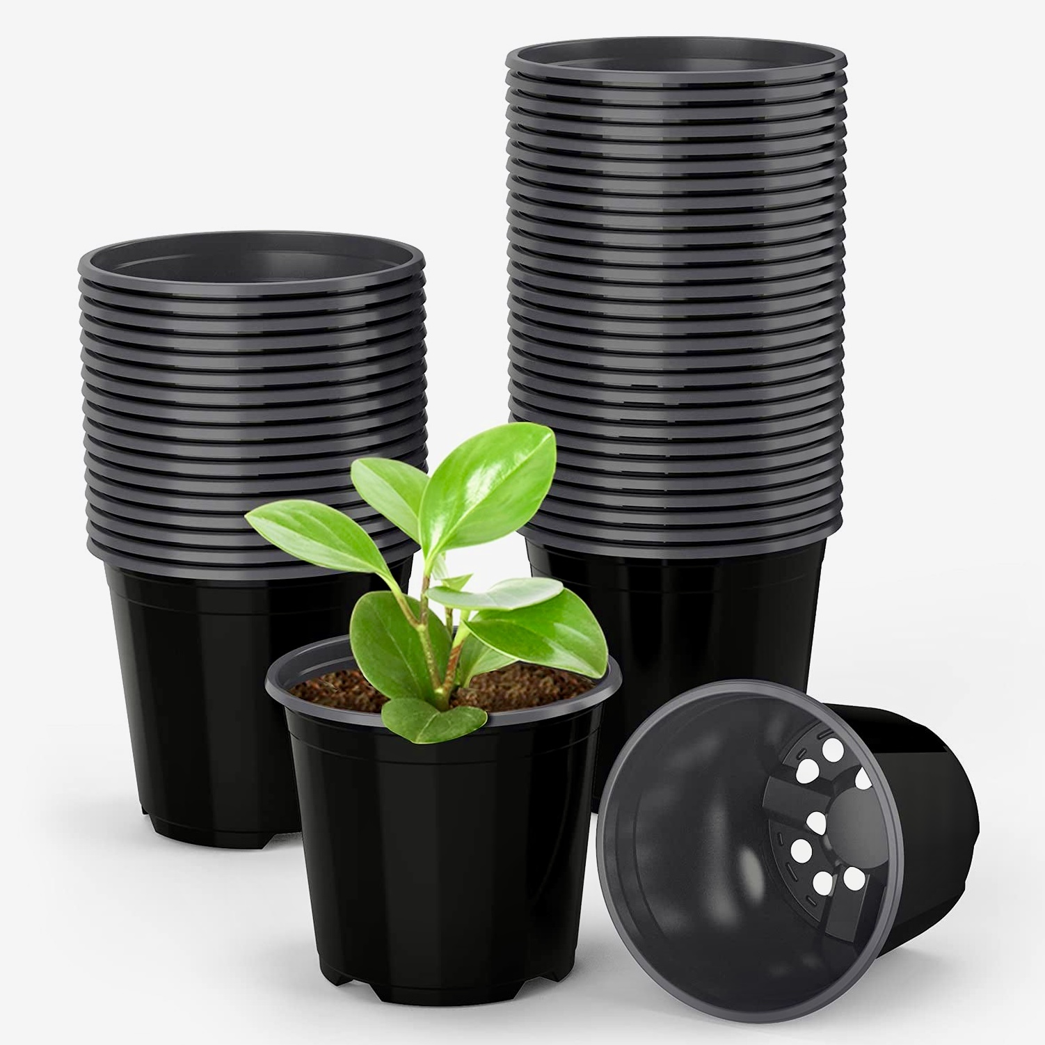 Plant container