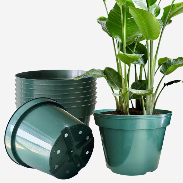 Plant pot 10 inch
