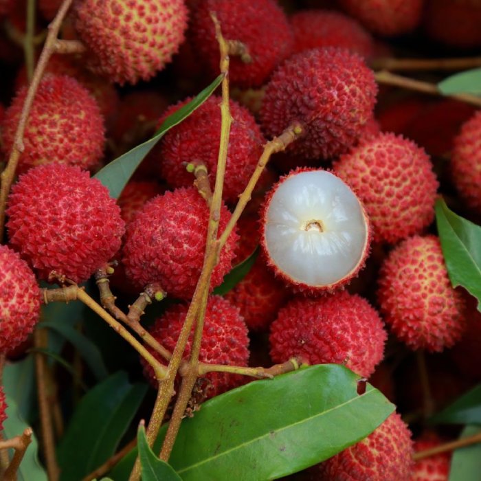 lychee-fruits