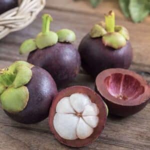 Mangosteen Garcinia mangostana