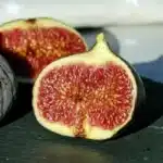 Fig ( Ficus carica ) tropical live plant