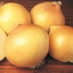 Spanish onions