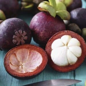 Mangosteen Garcinia mangostana