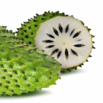 Soursop Tree (Guanabana)