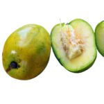 June plum seeds x10 Super High Germination rate